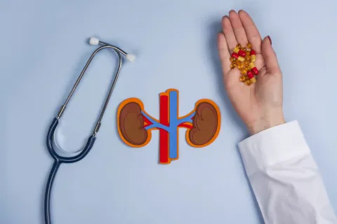 Renal Care Workshop Series